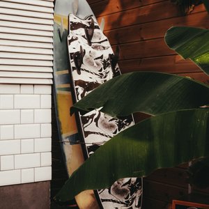 a surfboard leaning up against a wall next to a plant