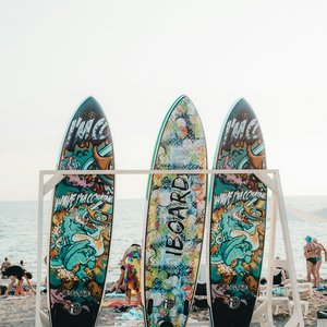 three surfboards are lined up on the beach