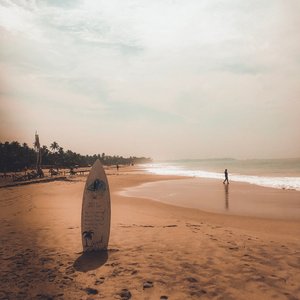 The Lonely Surfboard Photo