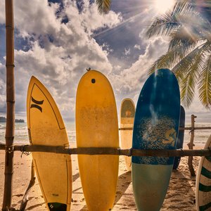 Three surfboards at the beach